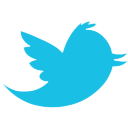 Twitter Alt 2 Icon 128x128 png